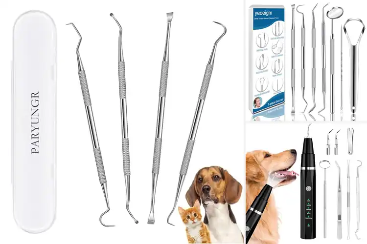 Detailed view of Best Pet Dental Tools: Top 10 Picks for a Healthy Smile