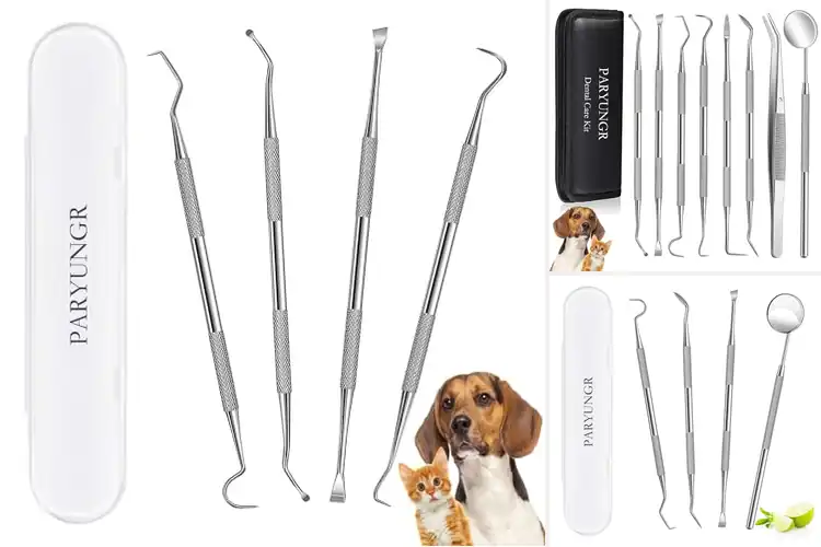 Detailed view of Best Pet Oral Hygiene Tool: Top 10 Picks for Healthy Teeth