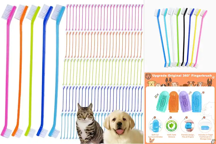 Detailed view of Best Pet Toothbrush Sets: Top 10 Picks for a Healthier Smile