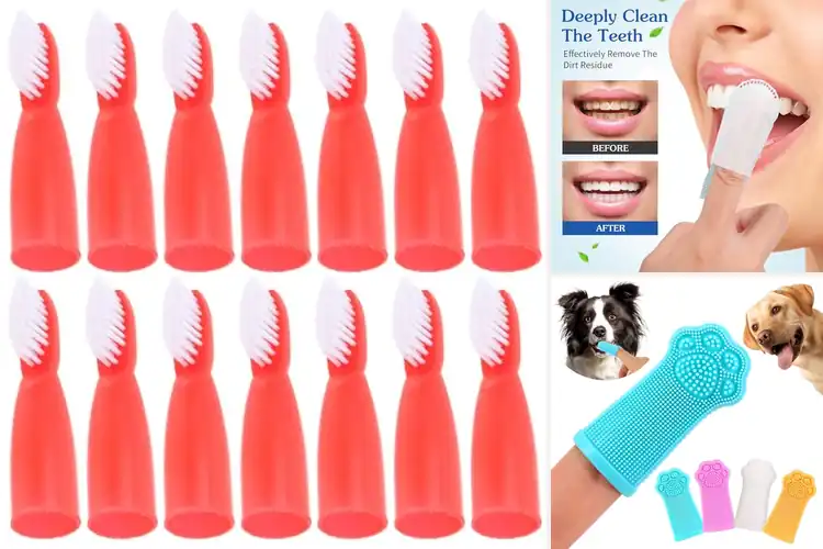 Detailed view of Best Portable Finger Toothbrush