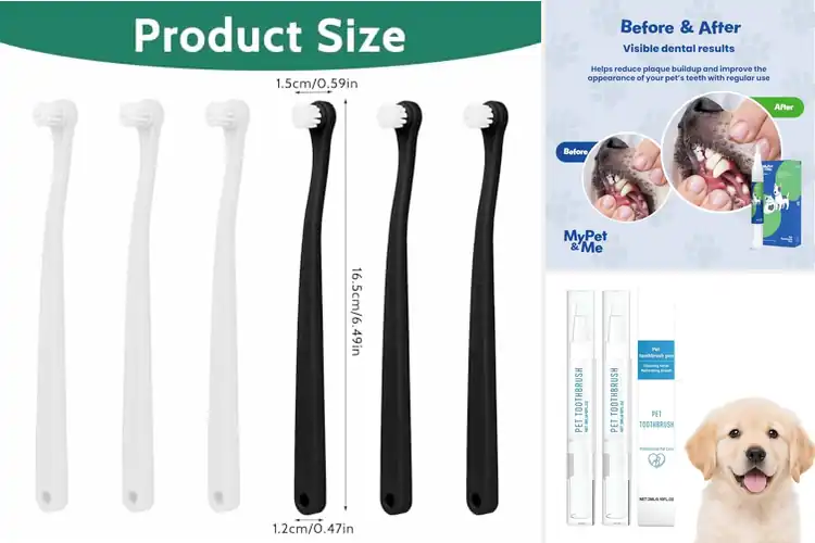 Detailed view of Best Portable Pet Toothbrushes: 10 Easy Dental Care Picks