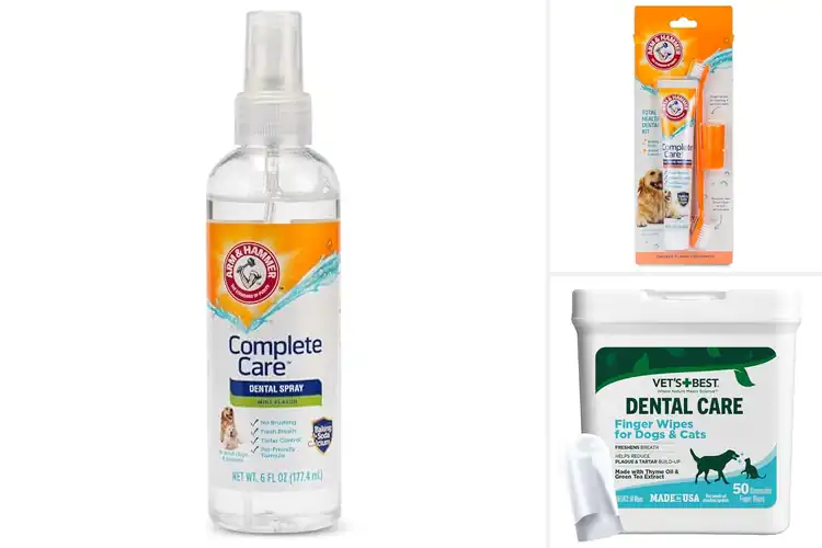 Detailed view of Best Puppy Dental Care Products