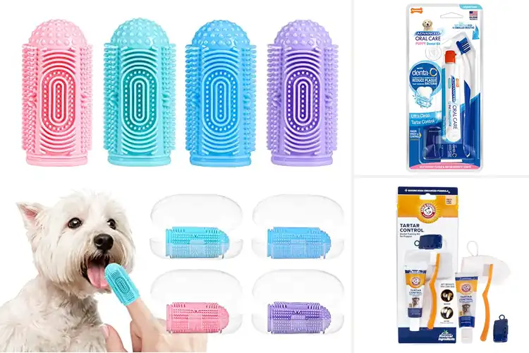 Detailed view of Best Puppy Toothbrushes for Gentle, Tasty Dental Care