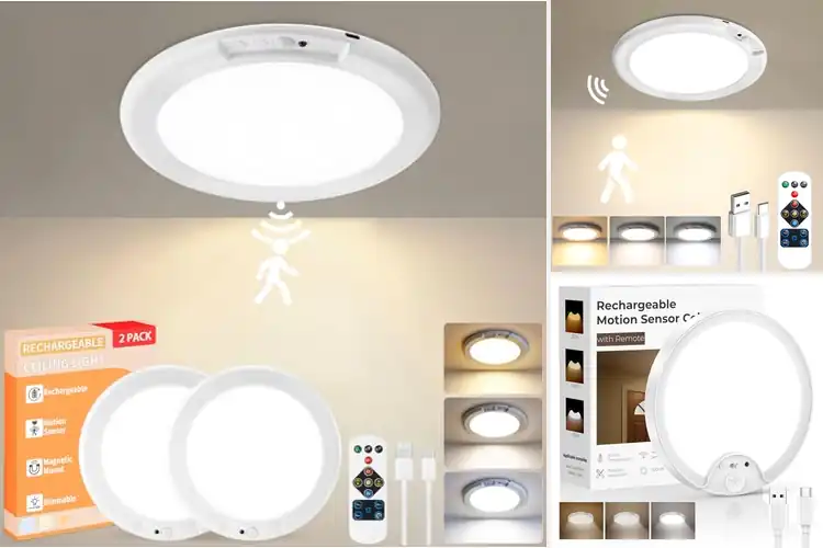 Detailed view of Best Rechargeable Motion Sensor Ceiling Lights