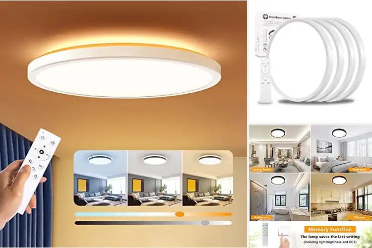 Detailed view of Best Remote-Controlled Ceiling Lights