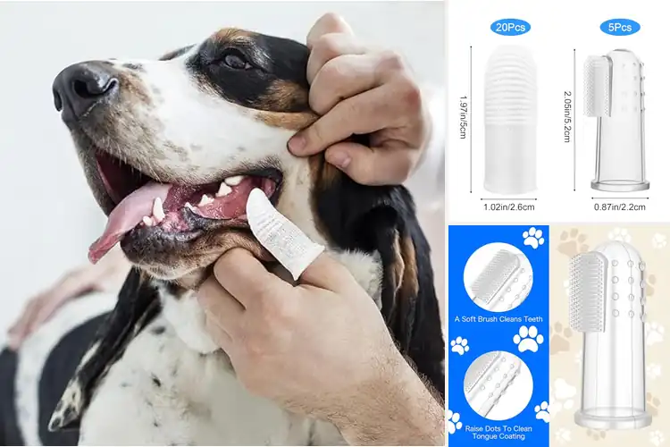 Detailed view of Best Reusable Dog Toothbrushes For Cats And Dogs