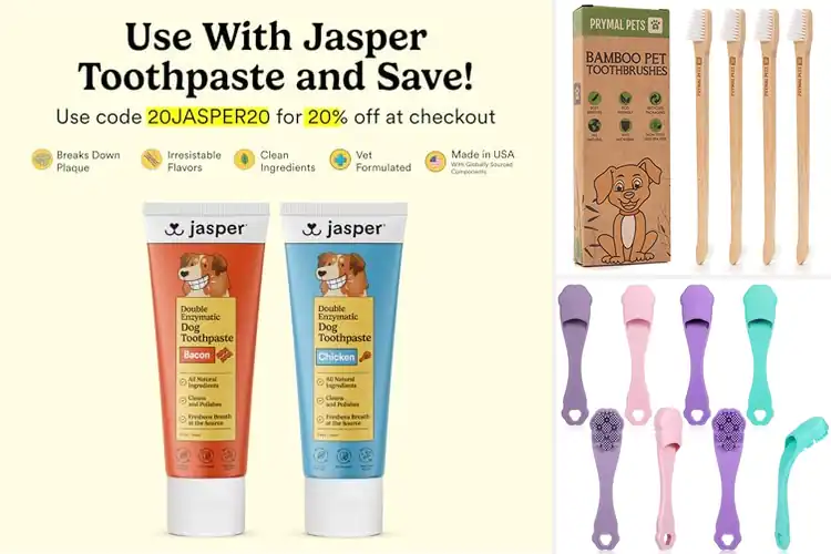 Detailed view of Best Safe Non Toxic Pet Toothbrushes