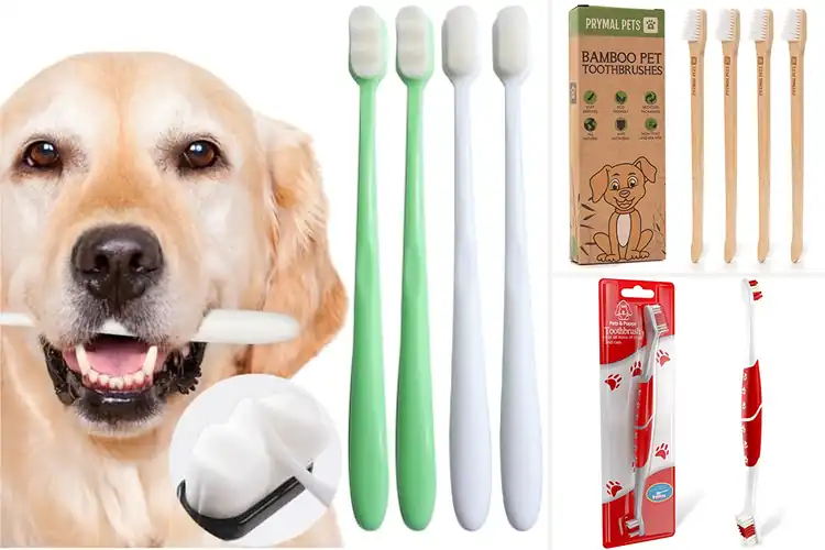 Detailed view of Best Safe Soft Bristle Dog Toothbrushes