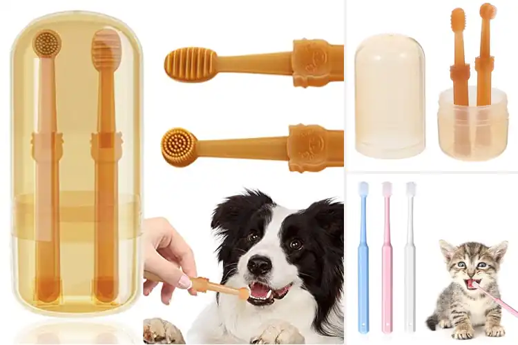 Detailed view of Best Silicone Pet Toothbrushes