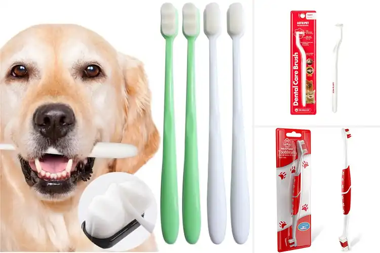 Detailed view of Best Soft Bristle Dog Toothbrush For Gums