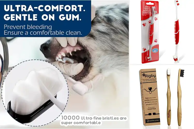 Detailed view of Best Soft Bristle Dog Toothbrushes For Gums