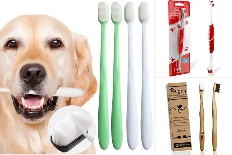 Detailed view of Best Soft Bristle Dog Toothbrushes