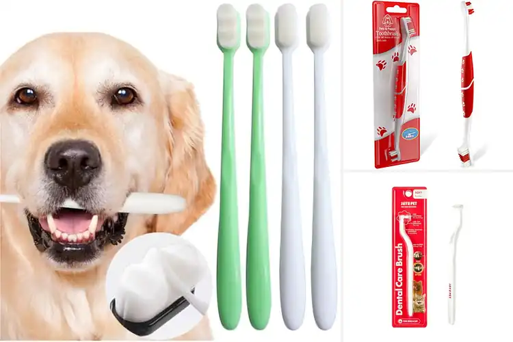 Detailed view of Best Soft Bristle Pet Toothbrush