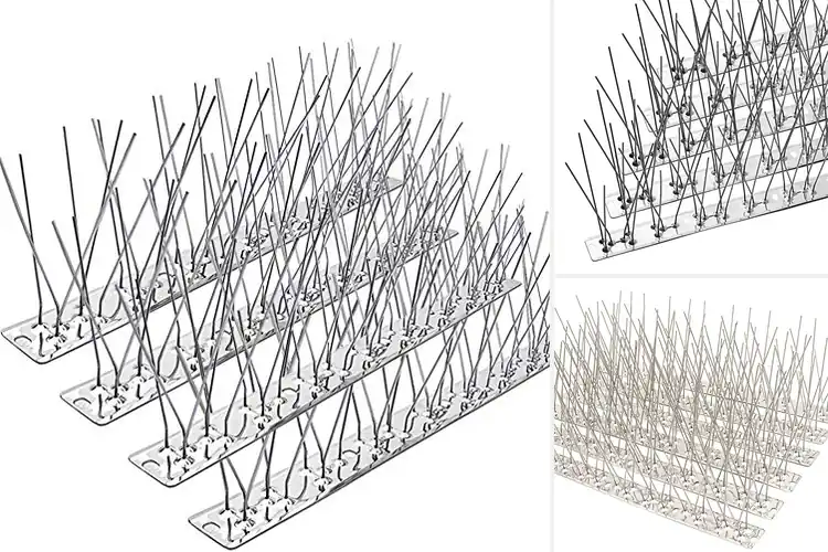 Detailed view of Best Stainless Steel Bird Spikes