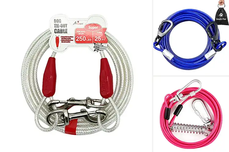 Detailed view of Best Visible Tie Out Cable For Dogs Up To 250Lbs