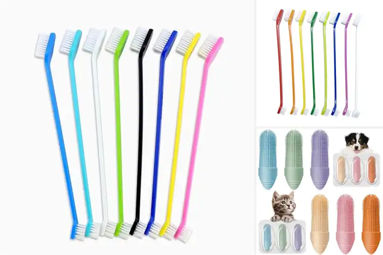 Detailed view of Best Wear Resistant Dog Toothbrushes