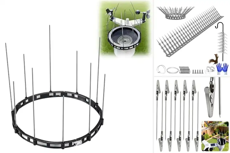 Detailed view of Best Weather-Proof Bird Spikes